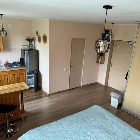 Aizkraukles Tipa Dzivoklis Apartment